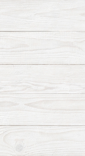ECO VERNIPROTECT BIANCO