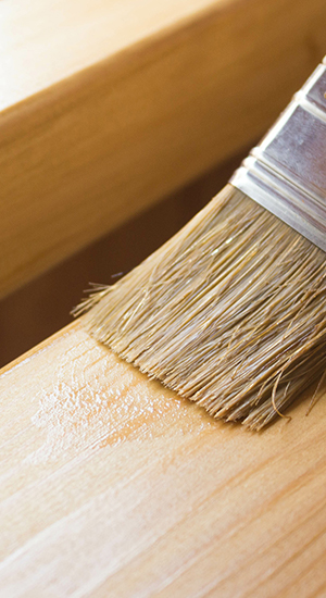 ECO SUPERBRUSH
